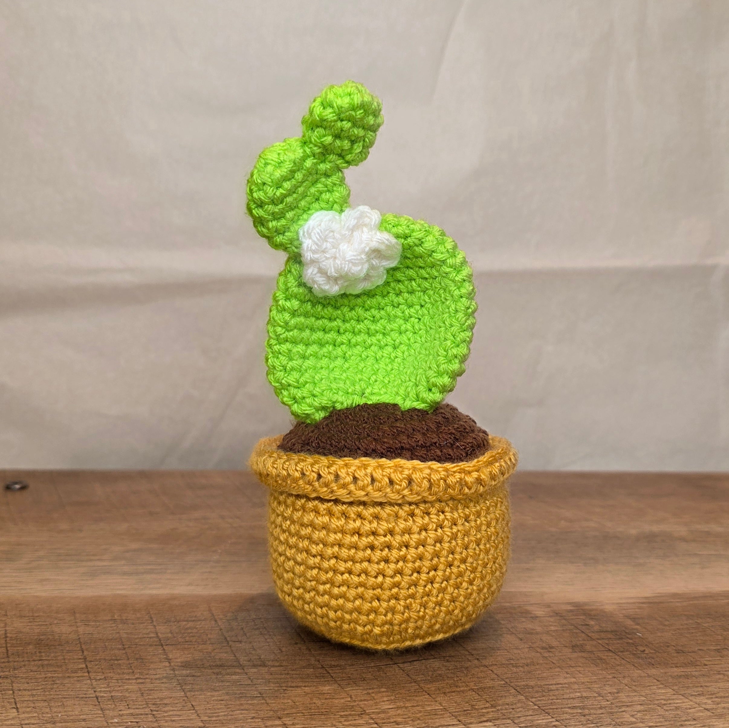 Crochet Cactus!
