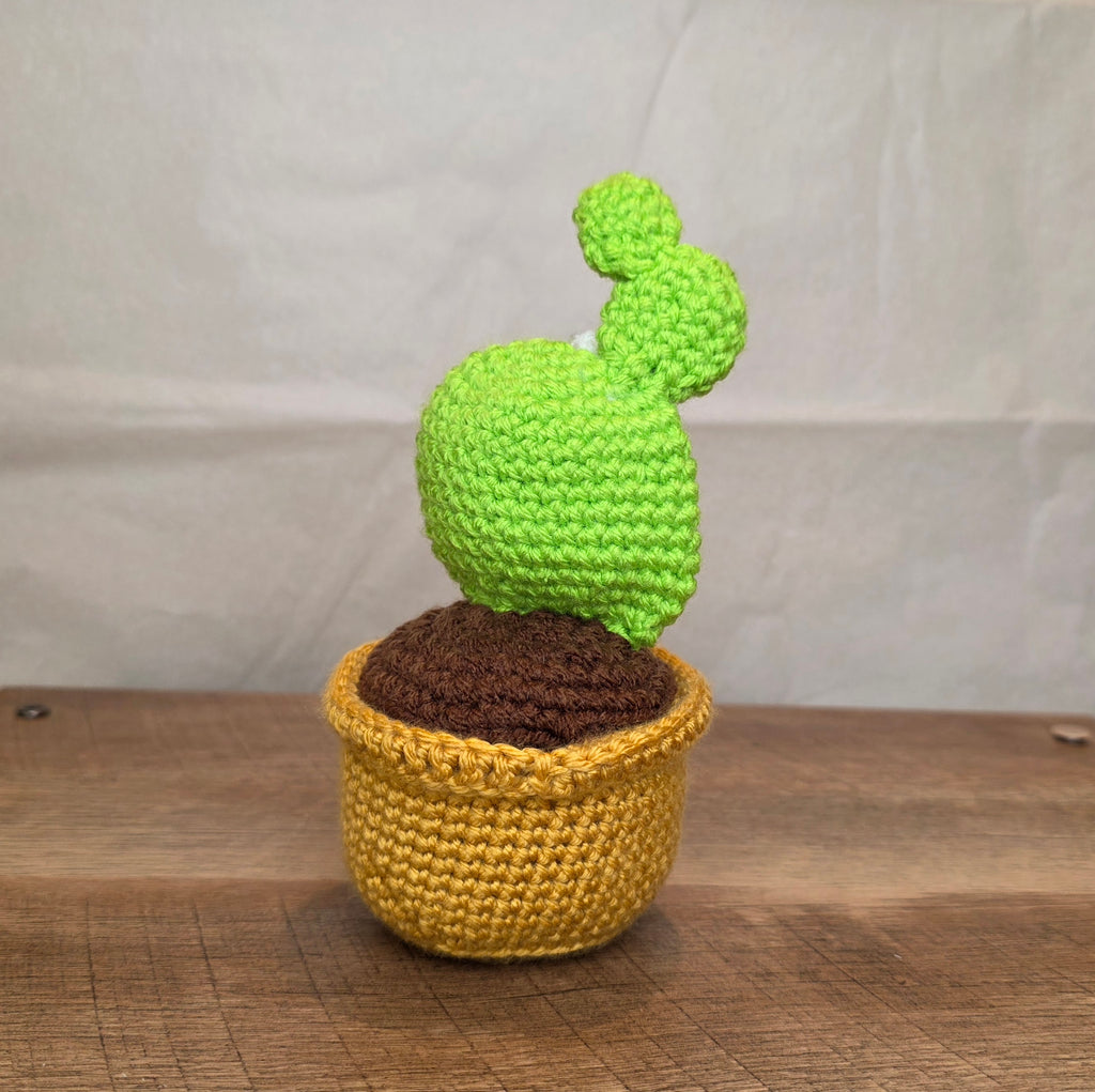 Crochet Cactus!