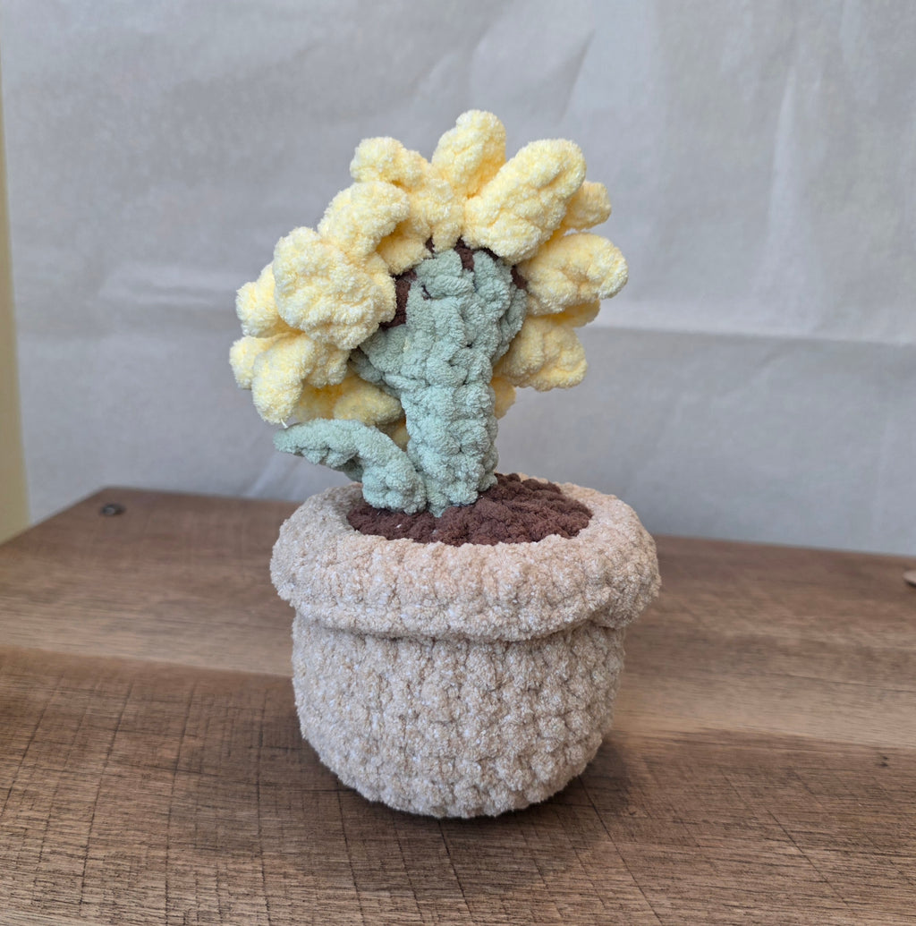 Crochet Sunflower!