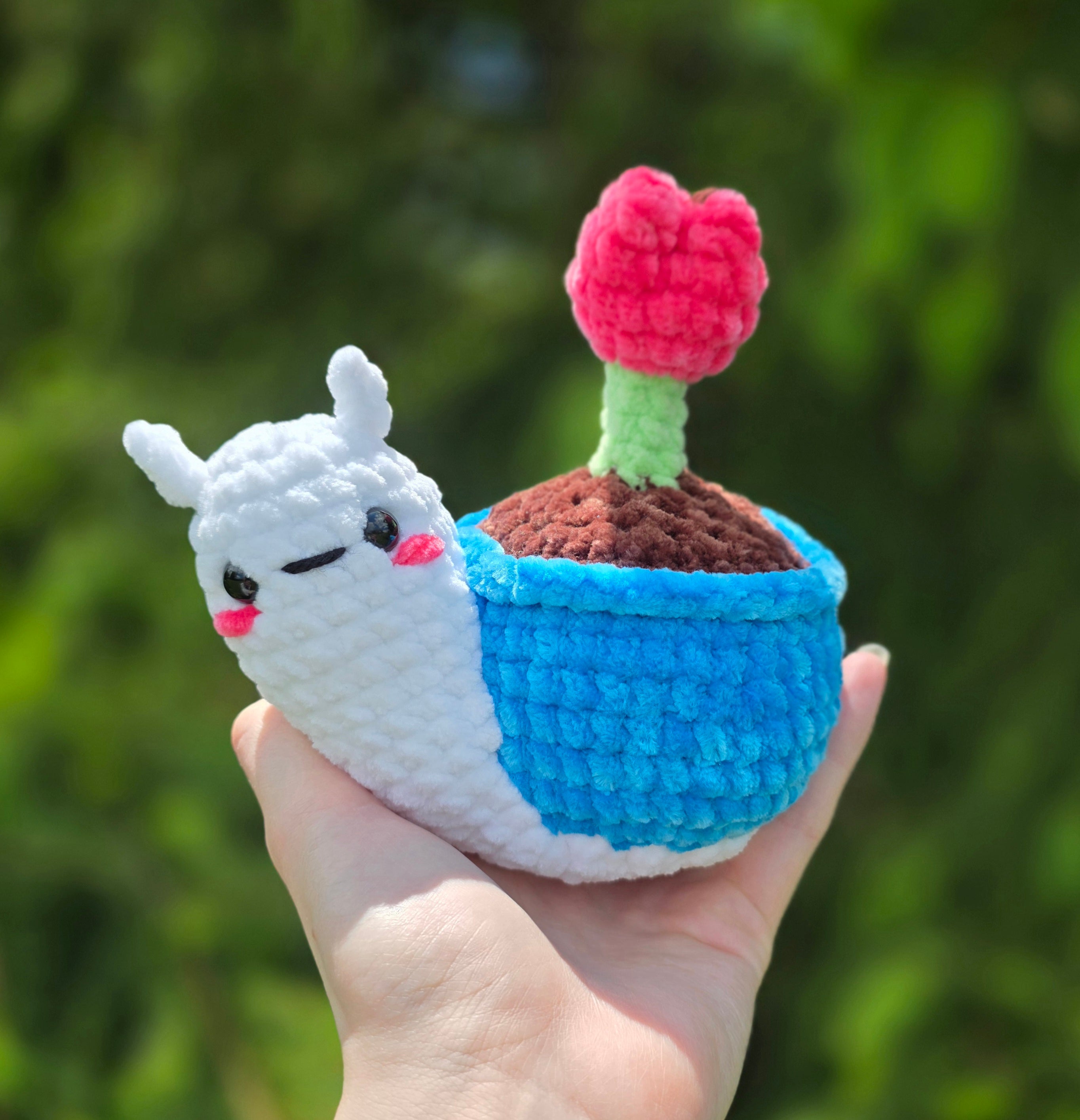 Flower Pot Snail!