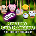 Mystery Car Hangers!
